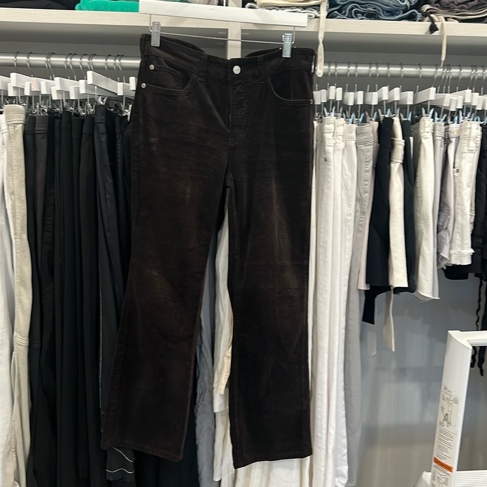 Pilcro chocolate brown corduroy. Boot cut